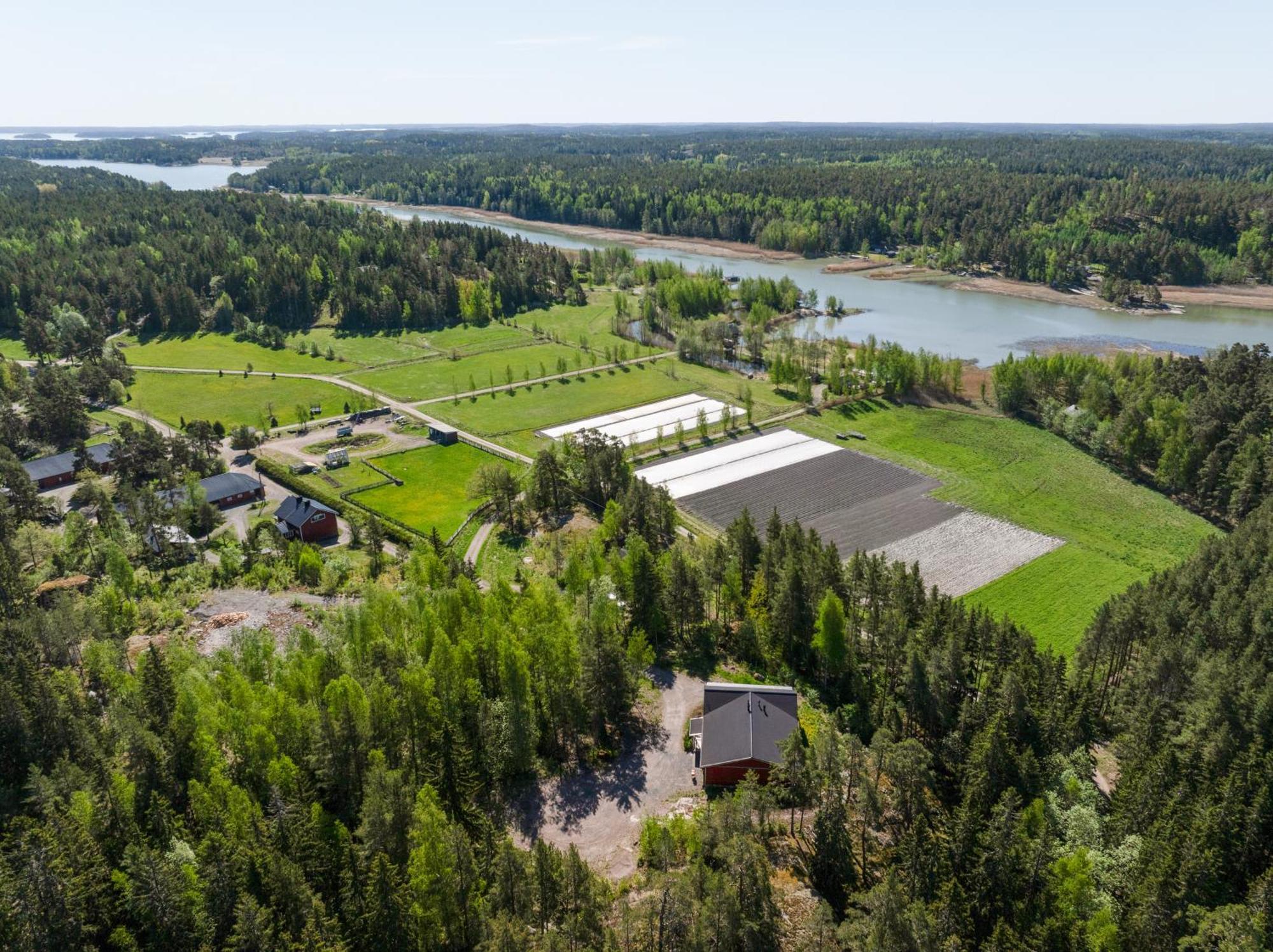 Villa Lomahyppaeys Naantali Exterior foto